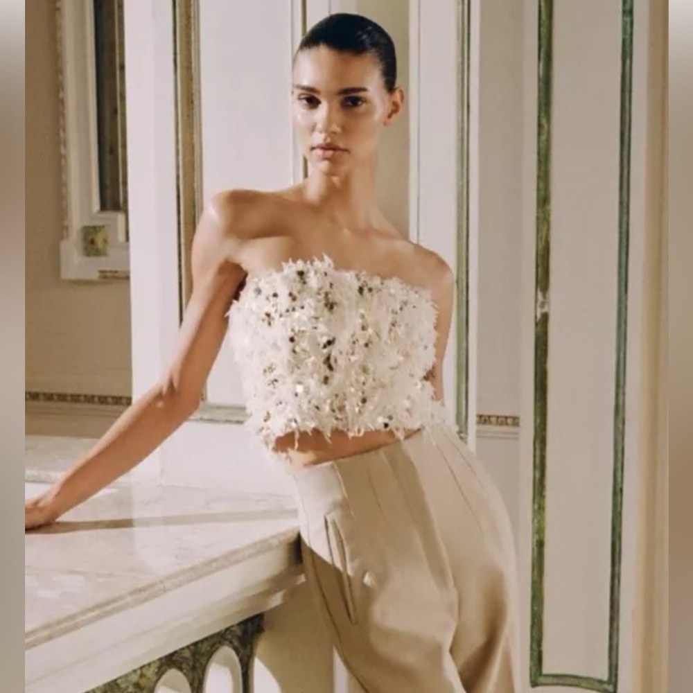 Zara Sequin Feather Crop Top